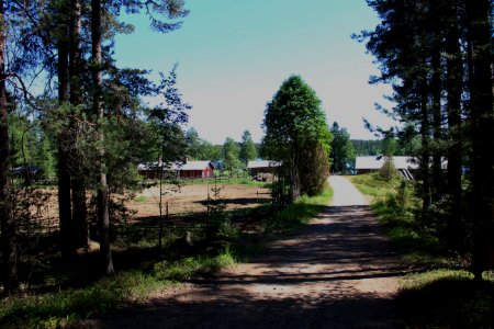 Liesjärven kansallispuisto, Korteniemen perinnetila, Hämeen Härkätie, Finland