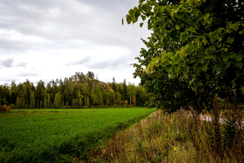 Hakoisten linnavuori, Janakkala, Finland