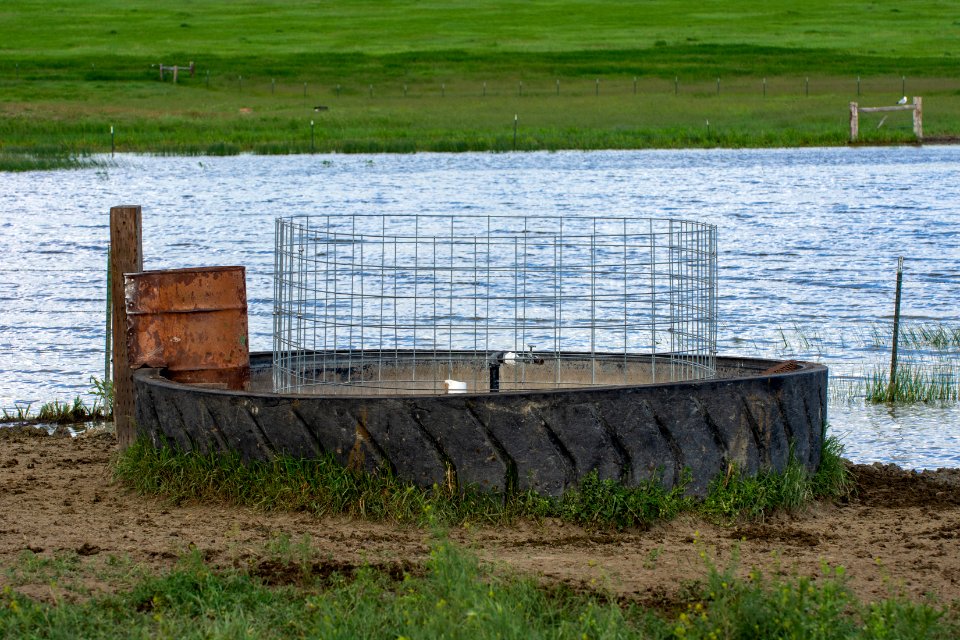  DSC5266
