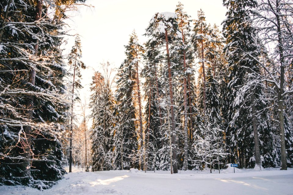 Aulanko, Hämeenlinna, Finland