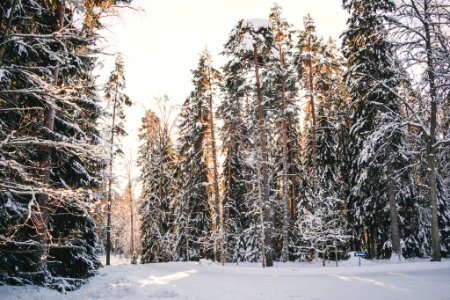 Aulanko, Hämeenlinna, Finland
