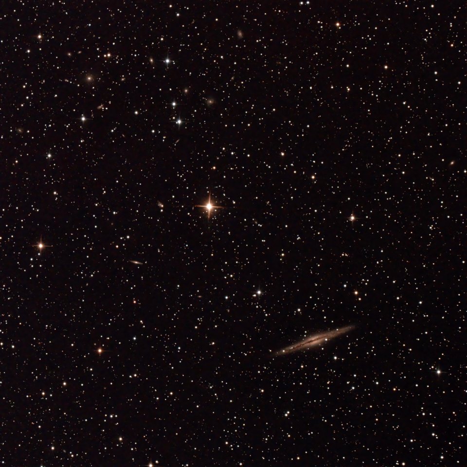 NGC 891 and Abell Galaxy group 347
