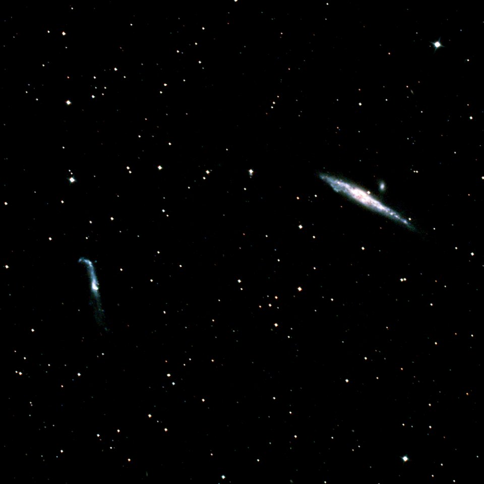 The Whale and the Crowbar Galaxies