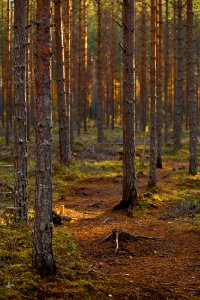 Iso-Melkutin, Loppi, Finland.