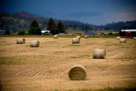 6423 NRCS projects.jpg