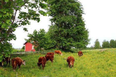 Hämeen Härkätien varrelta, Kanta-Häme