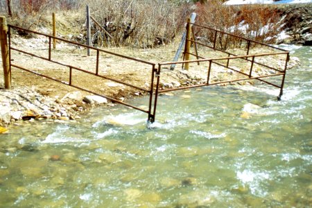 Riparian69.tif