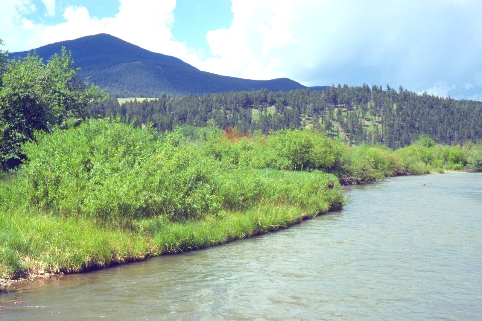 Riparian70.tif