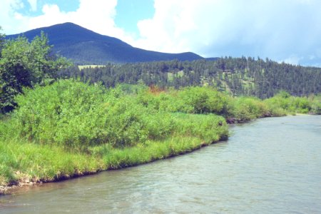 Riparian70.tif
