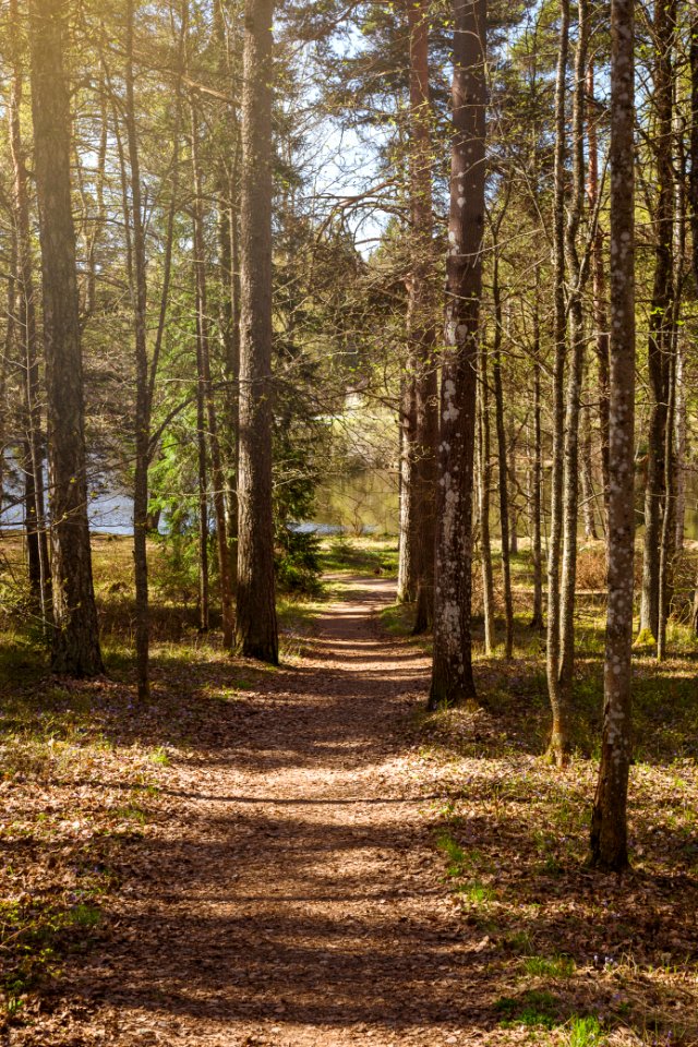 Aulanko, Hämeenlinna, Finland