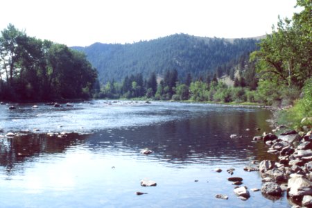 Riparian77.tif