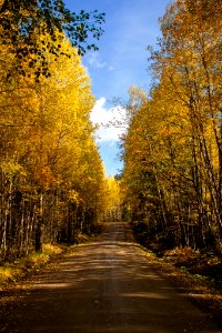 Härkätie, Finland