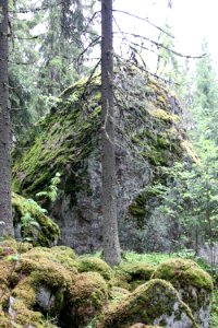 Kirjauksen lenkki, Riihimäki