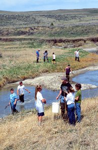 Conservation Education17.tif