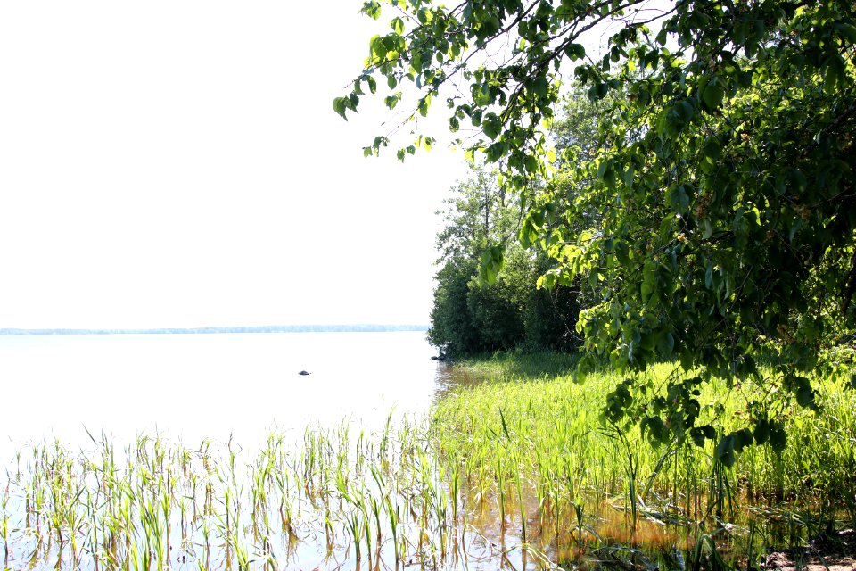 Manttaalin ranta, Tammela