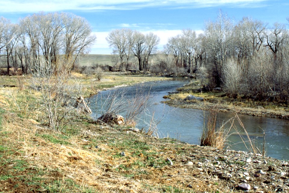 Riparian47.tif