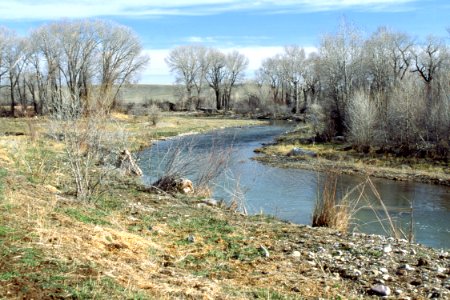 Riparian47.tif photo