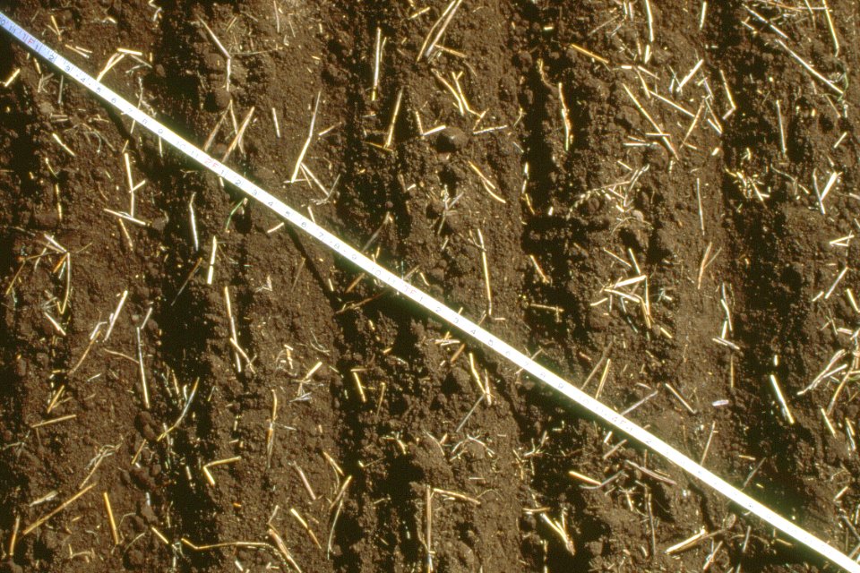 Crop Residue Management24.tif