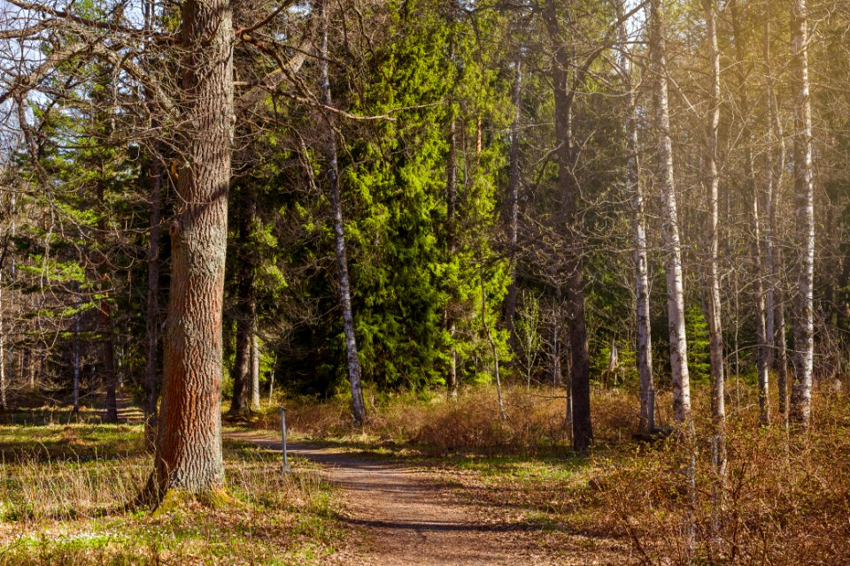 Aulanko, Hämeenlinna, Finland