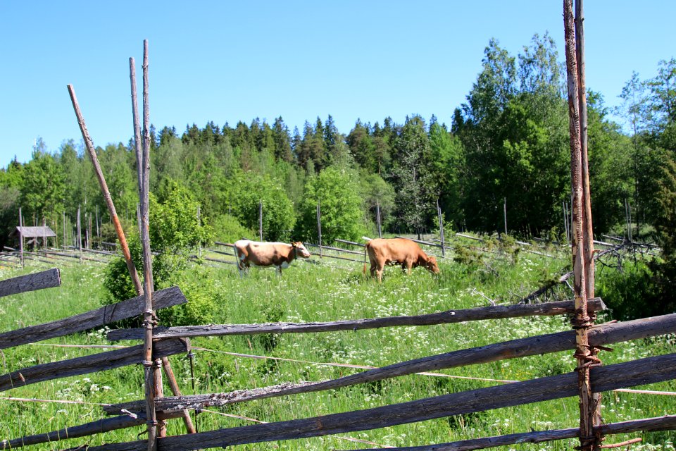 Elonkierto Jokioinen