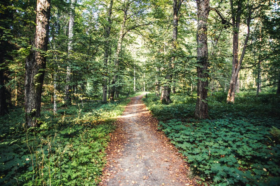 Aulanko, Hämeenlinna, Finland.