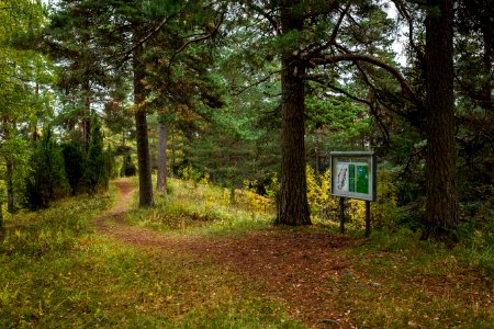 Tenholan linnavuori, Hattula, Finland