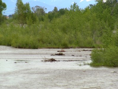 Floods99