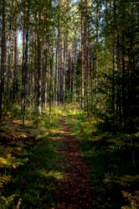Poronpolku, Loppi, Finland