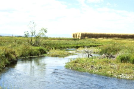 Riparian28.tif