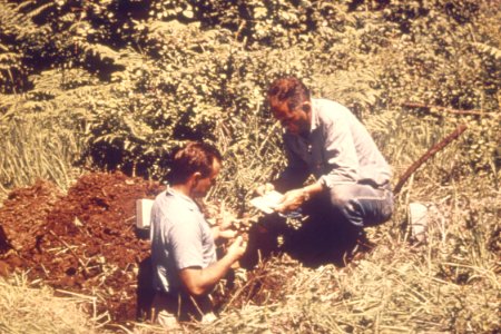 Soil Survey92.tif