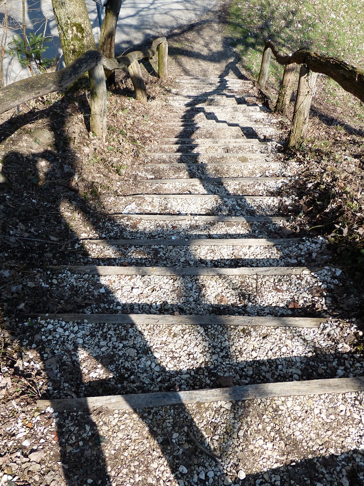 Nature out natural steps