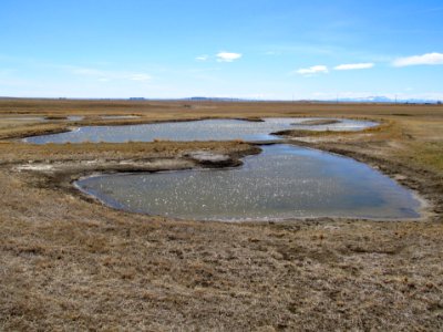ponds.JPG