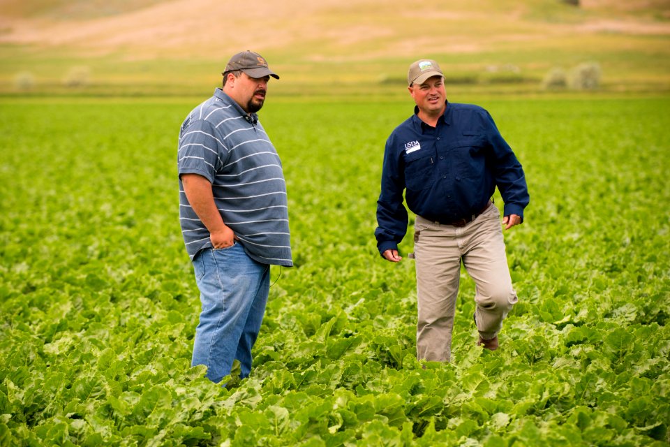 4265 NRCS projects
