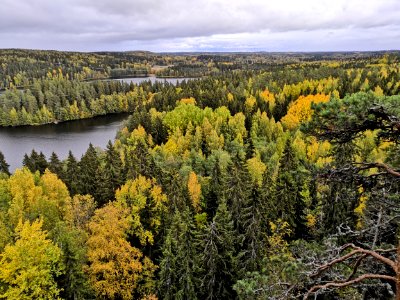 Aulanko, Hämeenlinna