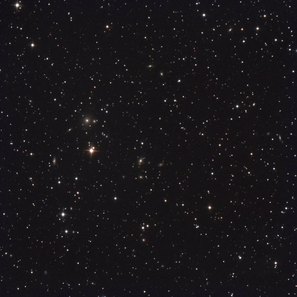 The NGC 507 Galaxy Group in Pisces