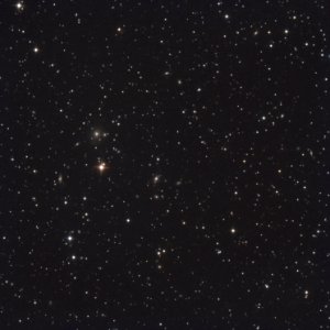 The NGC 507 Galaxy Group in Pisces