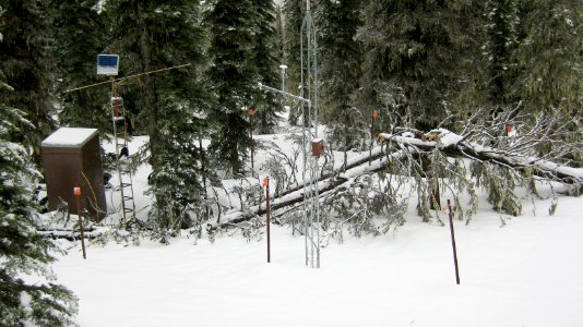 Snow Survey131.jpg photo
