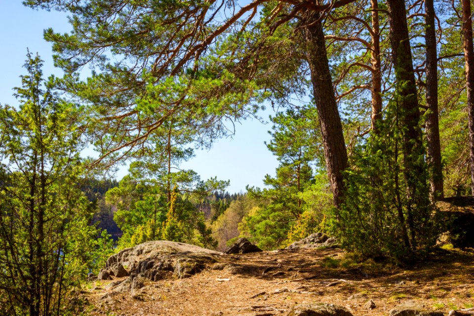 Aulanko, Hämeenlinna, Finland