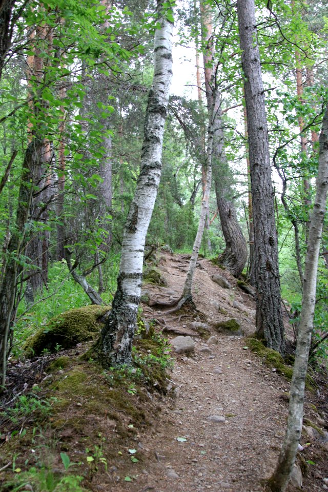 Untulanharjun luontopolku, Lammi, Hämeenlinna