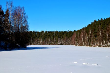 Ahvenisto, Hämeenlinna