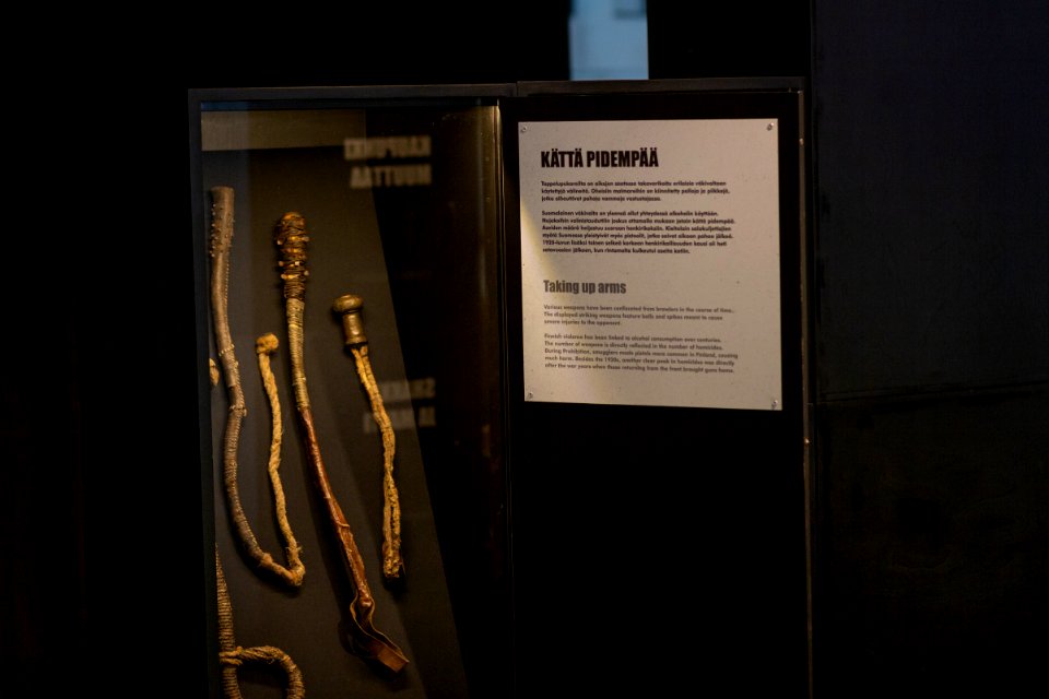Museo Skogster, Hämeenlinna, Finland