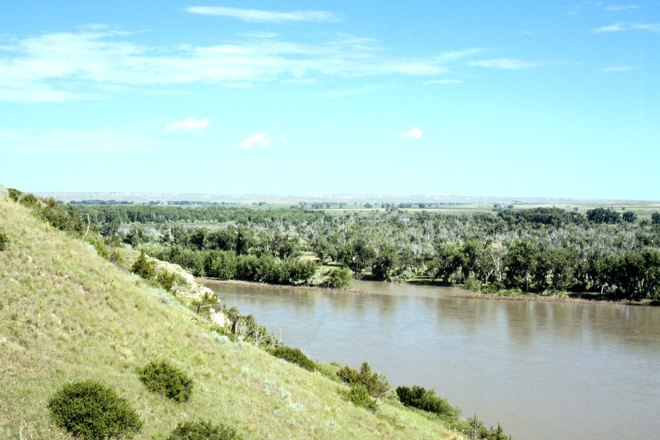 Riparian94.tif