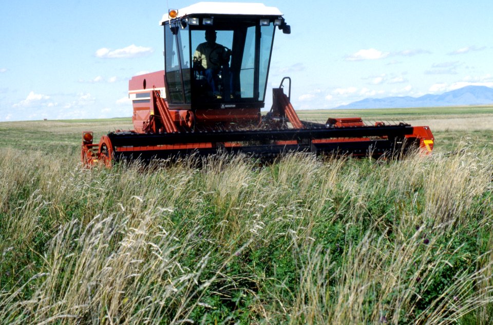 Machinery15.tif