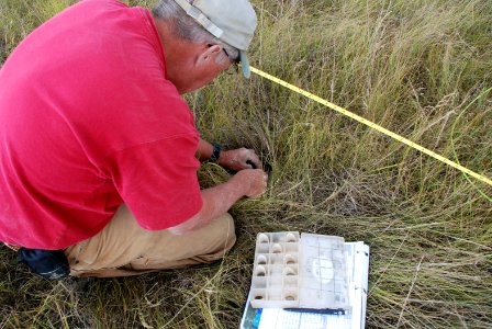 soil survey127