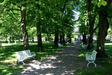 Wahreninpuisto, Forssa