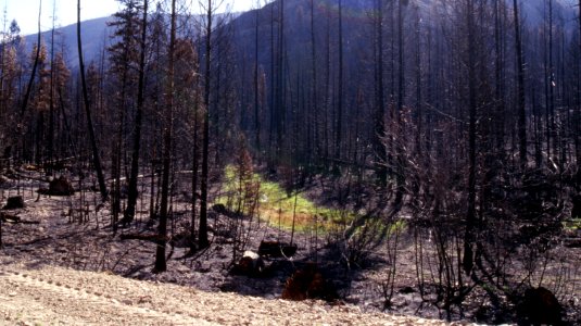 Natural Disasters23.tif