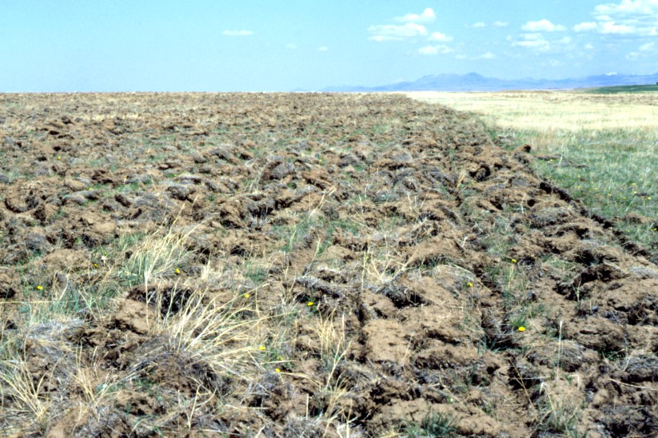Crop Residue Management20.tif