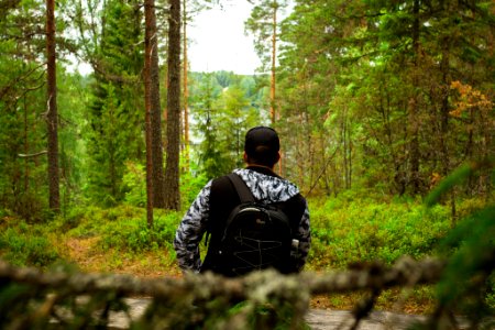 Evo Hiking Area, Hämeenlinna, Finland