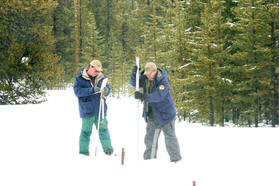 SnowSurvey90.tif