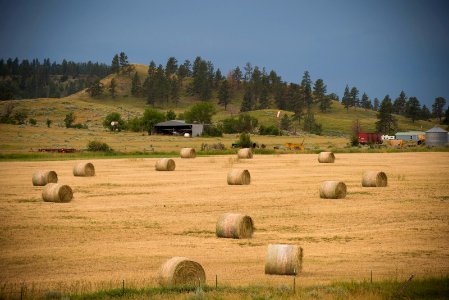6397 NRCS projects.jpg
